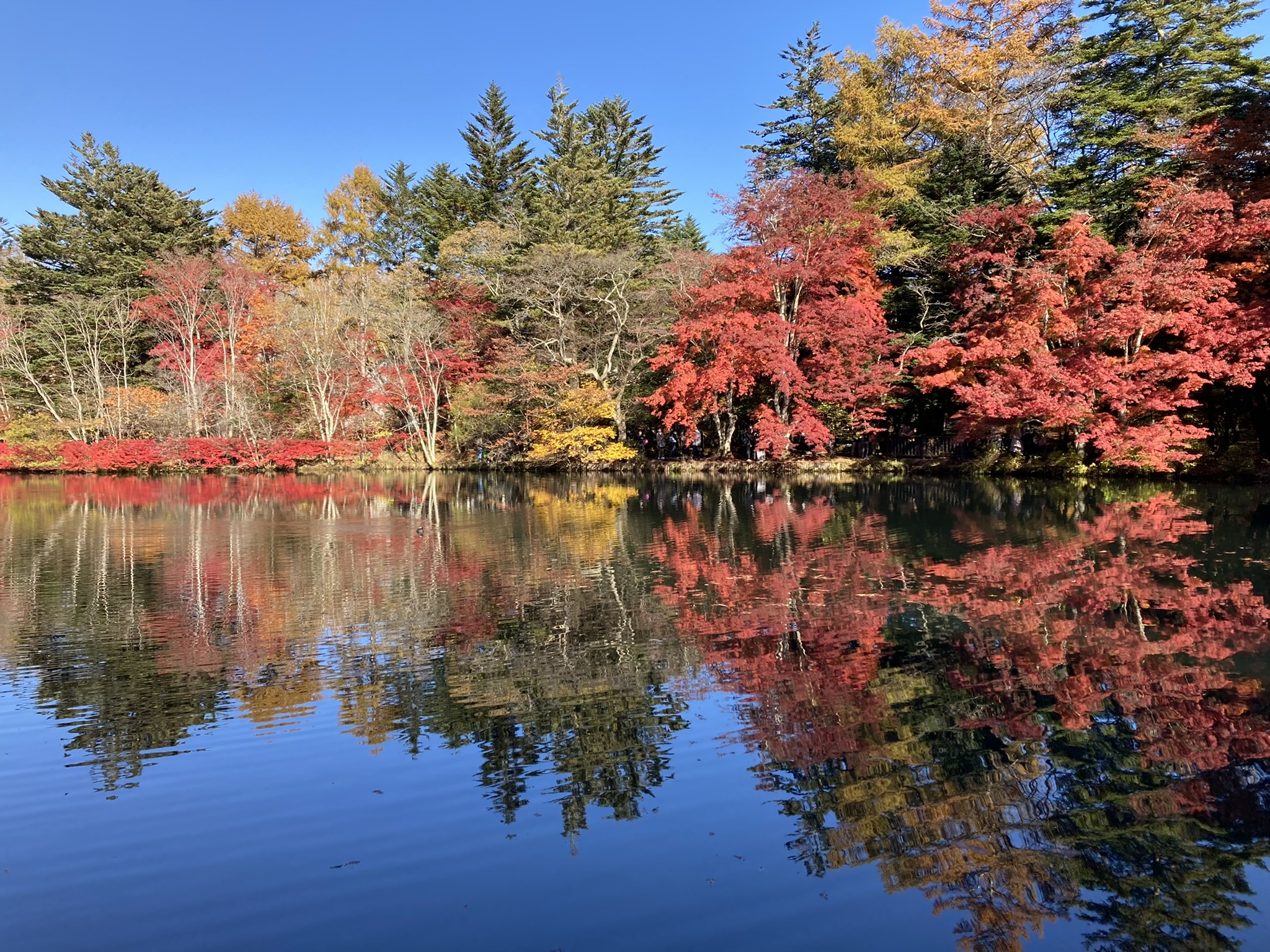 年内の予約について
